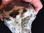 Groot handstuk met chalcopyriet op calciet uit het Sauerland, Ophalen of Verzenden, Mineraal