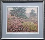 Siemen Dijkstra kleurenhoutsnede en boek., Antiek en Kunst, Kunst | Schilderijen | Klassiek, Ophalen