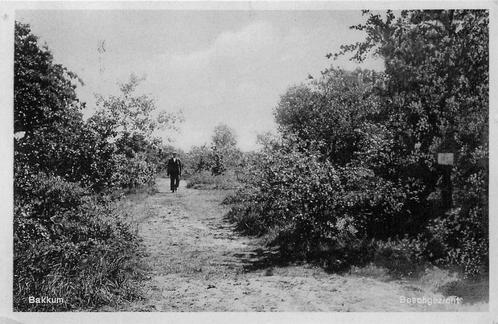 (388-091-015) Bakkum Boschgezicht, Verzamelen, Ansichtkaarten | Nederland, Noord-Holland, Verzenden