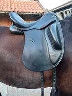 Anatomica Cygnus G3 17,5 inch, Ophalen, Gebruikt, Dressuur