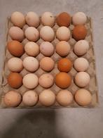 Broedeieren, Ophalen of Verzenden