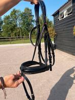 Kiefer trenshoofstel te koop, Dieren en Toebehoren, Ophalen of Verzenden, Gebruikt, Dressuur