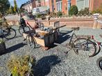 oude bakfiets, Fietsen en Brommers, Fietsen | Bakfietsen, Ophalen, Gebruikt, Goederen