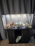 Compleet aquarium 180L te koop, Dieren en Toebehoren, Vissen | Aquaria en Toebehoren, Ophalen of Verzenden, Zo goed als nieuw