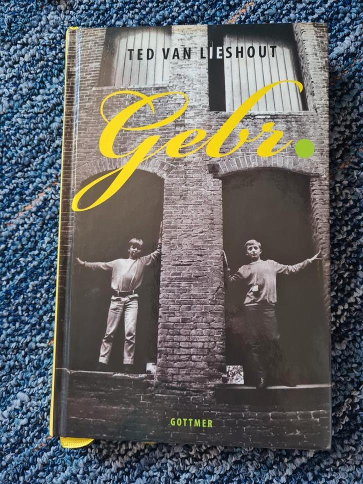 Ted van Lieshout - Gebr., Boeken, Kinderboeken | Jeugd | 13 jaar en ouder, Zo goed als nieuw, Ophalen of Verzenden