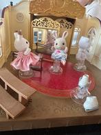 Sylvanian Families Balletstudio met 3 figuren, Ophalen of Verzenden, Gebruikt