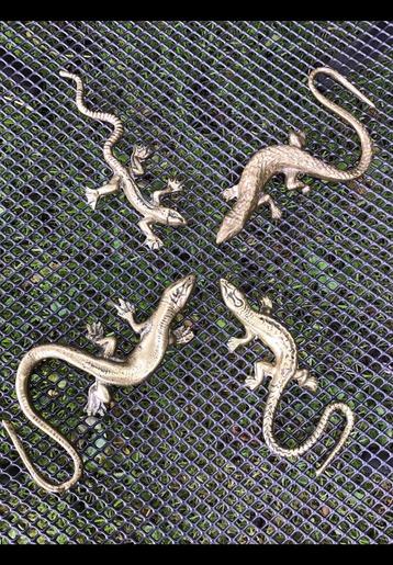 4 Stuks geel koperen salamander, hagedis, gekko van messing. beschikbaar voor biedingen