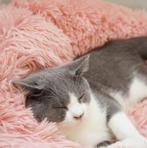 Hondenmand Fluffy Donut Hondenkussen Mand Pluche Hondenbed, Ophalen of Verzenden, Nieuw, Pluche