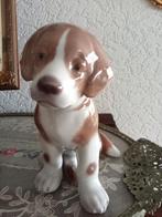 Copenhagen puppy puntgaaf., Ophalen of Verzenden