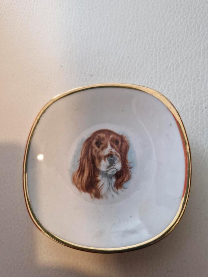 Rheinpfalz Porseleinen Schoteltje Cocker Spaniel, Antiek en Kunst, Antiek | Keramiek en Aardewerk, Ophalen of Verzenden