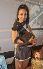 Max en Kenny zoeken baasje, Dieren en Toebehoren, Honden | Niet-rashonden, Particulier, Rabiës (hondsdolheid), 15 weken tot 1 jaar