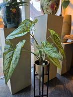 Nieuwe Emerald Kunstplant - 60x65cm, Overige soorten, In pot, Minder dan 100 cm, Groene kamerplant