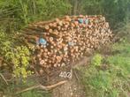 Boomstammen brandhout beuk, esdoorn, berk, eik mix, Tuin en Terras, Haardhout, Stammen, Ophalen of Verzenden, 6 m³ of meer