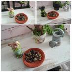 🦜 PPH 1.12 VOGELVOEDERSCHAAL MET HONGERIG VOGELTJE 🦜, Ophalen of Verzenden, Zo goed als nieuw, Poppenhuis