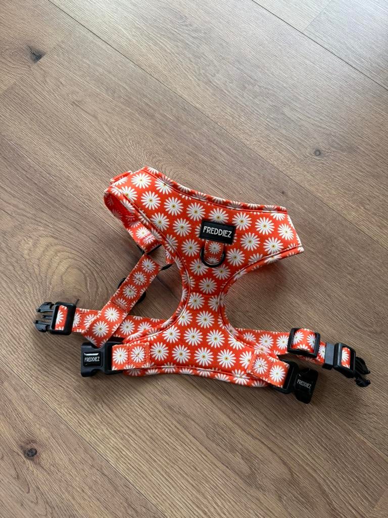 Freddiez honden tuigje, Ophalen of Verzenden, Zo goed als nieuw