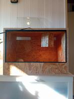 OSB terrarium 60x44x44 met wat inrichting, Dieren en Toebehoren, Ophalen, Zo goed als nieuw, Terrarium of Paludarium