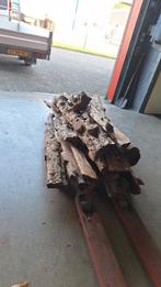 Taxushout taxus, Ophalen, Minder dan 200 cm, Pallet
