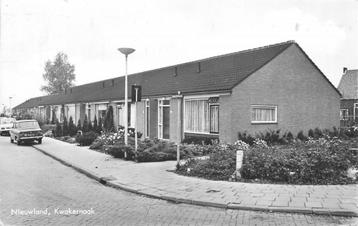 (378-313-035) Nieuwland Kwakernaak beschikbaar voor biedingen