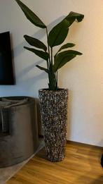 Schelpenvaas, Ophalen, Zo goed als nieuw