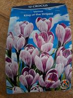 Nieuw zakje Crocus bollen (12 stuks), Ophalen of Verzenden, Najaar, Volle zon, Bloembol