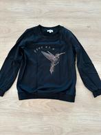 Sweater C&S maat XS, Ophalen of Verzenden