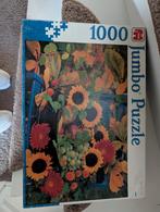Jumbo puzzel, Ophalen, 500 t/m 1500 stukjes, Gebruikt