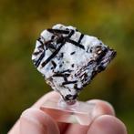 Astrofylliet #2, Verzamelen, Mineralen en Fossielen, Ophalen of Verzenden, Mineraal