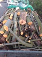 Kachel hout te koop, Tuin en Terras, Haardhout, Minder dan 3 m³, Ophalen of Verzenden, Overige houtsoorten, Blokken