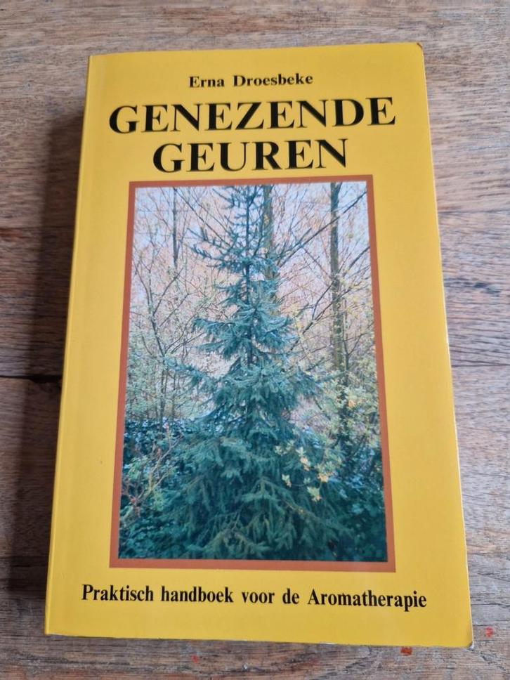 Erna Droesbeke, GENEZENDE GEUREN, Boeken, Esoterie en Spiritualiteit, Zo goed als nieuw, Instructieboek, Ophalen of Verzenden