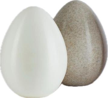 Italiaans design | Bio Urn - Natuurlijke Begrafenis beschikbaar voor biedingen