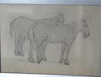 Een oude tekening van twee paarden, Ophalen of Verzenden