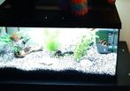 Mooie zwarte Eheim aquarium, Ophalen, Zo goed als nieuw, Leeg aquarium