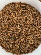 Gedroogde  meelwormen van premium kwaliteit, Dieren en Toebehoren, Dierenvoeding, Ophalen, Pluimvee