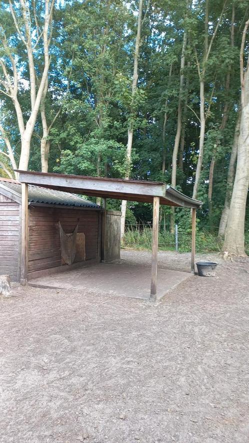 Overkapping  3 bij 4 meter, Tuin en Terras, Overkappingen, Zo goed als nieuw, Ophalen of Verzenden