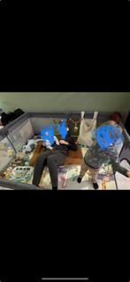 Grondbox 180 x 150, Ophalen of Verzenden, Zo goed als nieuw