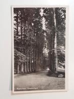 Gaasterland Rijsterlaan, Verzenden, 1940 tot 1960, Gelopen, Friesland