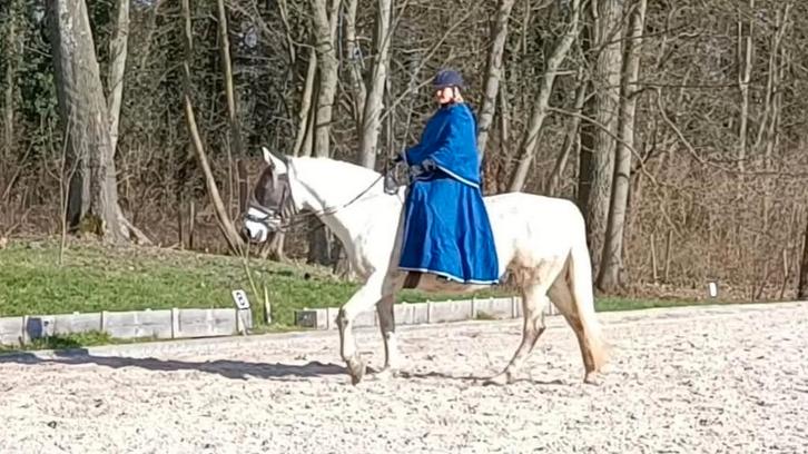 Rijrok met bijpassende poncho, Dieren en Toebehoren, Paardrijkleding, Zo goed als nieuw, Ophalen of Verzenden