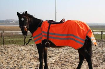 RESTANT PARTIJ!! Veiligheids buitenrijdeken reflecterend beschikbaar voor biedingen
