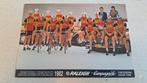 Raleigh -campagnolo 1982 wielerteam kaarten oa Lubberding !, Ophalen of Verzenden, 1980 tot heden, Ongelopen, Sport en Spel
