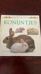 Konijntjes, Dieren en Toebehoren, Konijnen