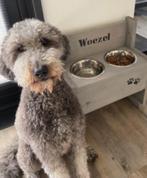 Eet-drinkbakken voor de hond met GRATIS zijn/haar naam erop!, Ophalen of Verzenden, Nieuw