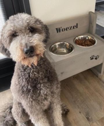Eet-drinkbakken voor de hond met GRATIS zijn/haar naam erop! beschikbaar voor biedingen