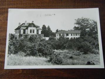 Z29 - Bentveld - Woodbrookers - Mooi/Oud beschikbaar voor biedingen