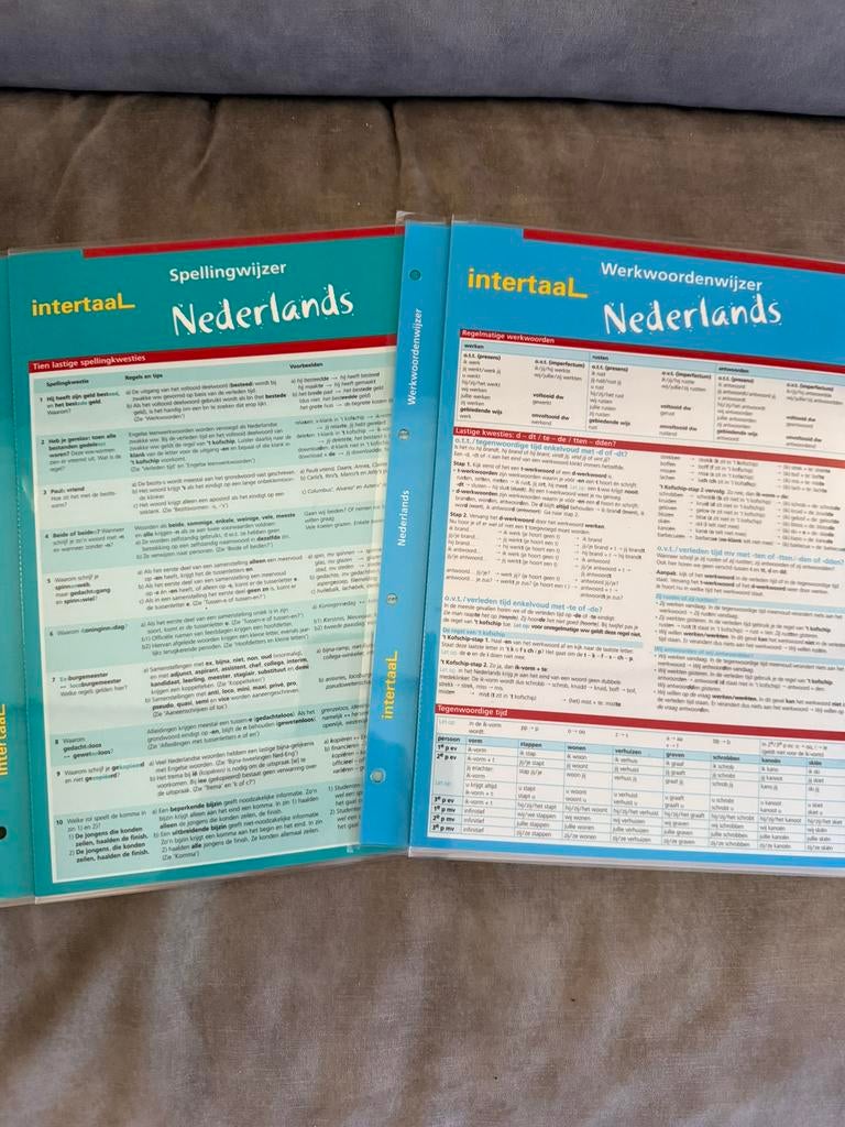 Intertaal Nederlands: Werkwoorden & Spelling &Grammatica, Diversen, Schoolbenodigdheden, Ophalen of Verzenden