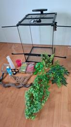 Exo Terra glasterrarium 45x45x60 met hittelamp, thermostaat, Dieren en Toebehoren, Reptielen en Amfibieën | Toebehoren, Ophalen