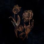 DVNE - Cycles Of Asphodel (Black Vinyl) NIEUW, Verzenden, Nieuw in verpakking