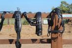 Te koop nieuw shetlander mentuig Gedeelte nylon, Dieren en Toebehoren, Paarden en Pony's | Hoofdstellen en Tuigage, ., Ophalen of Verzenden
