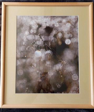 Waterdruppels (foto) in Barth wissellijst van 40x50 cm.... beschikbaar voor biedingen