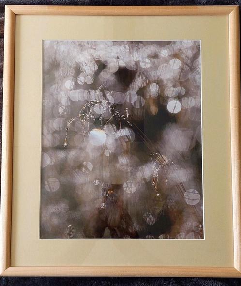 Waterdruppels (foto) in Barth wissellijst van 40x50 cm...., Antiek en Kunst, Kunst | Tekeningen en Foto's, Ophalen of Verzenden