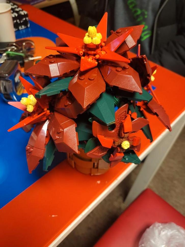 LEGO Kerstster - Prachtige Seizoensdecoratie!, Kinderen en Baby's, Speelgoed | Duplo en Lego, Zo goed als nieuw, Lego, Complete set